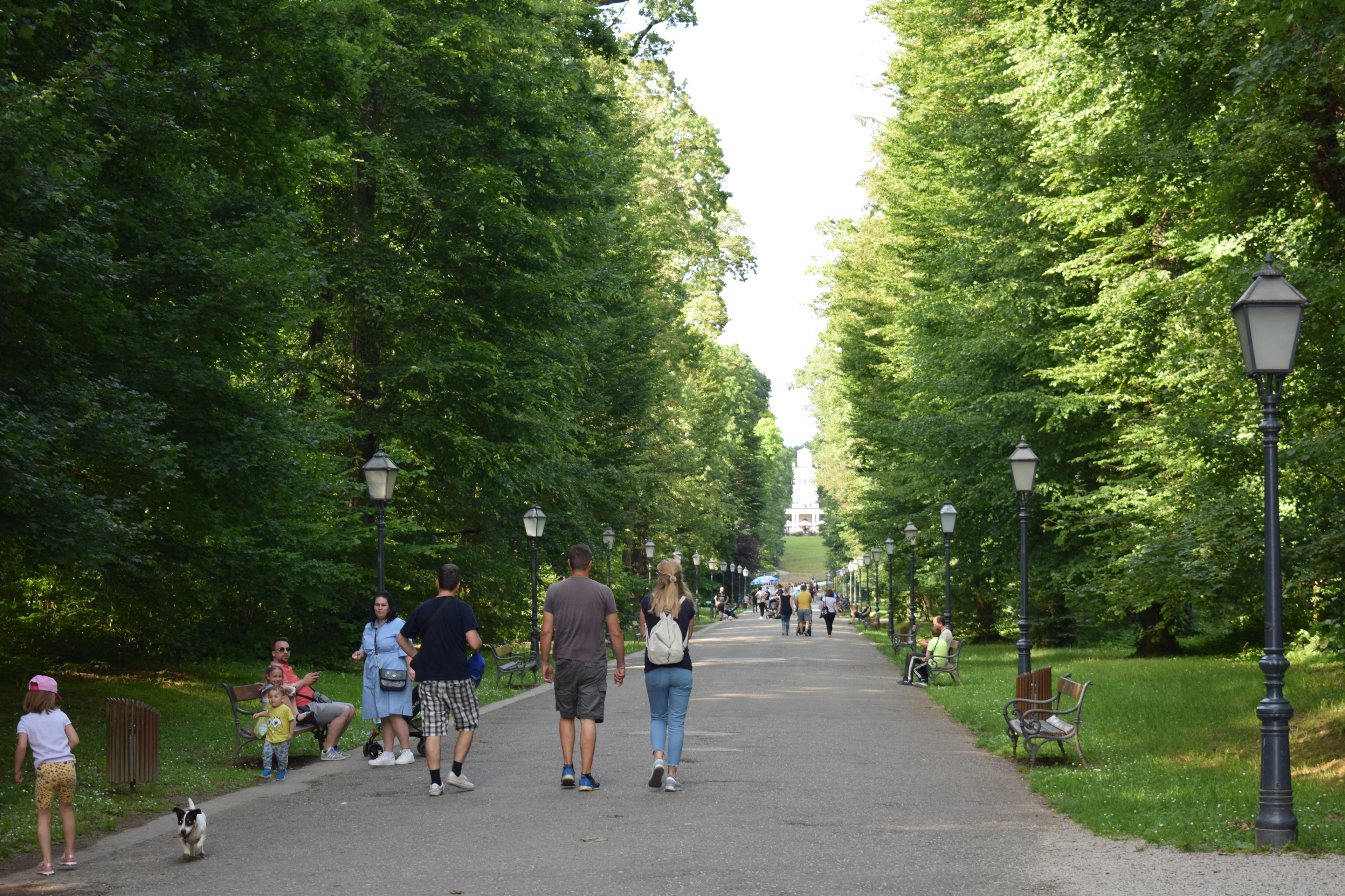 Families walking the long tree-lined avenue through Maksimir Park in Zagreb on a summer day, a small dog off the leash, cast-iron lamp posts and benches under deep green canopy
