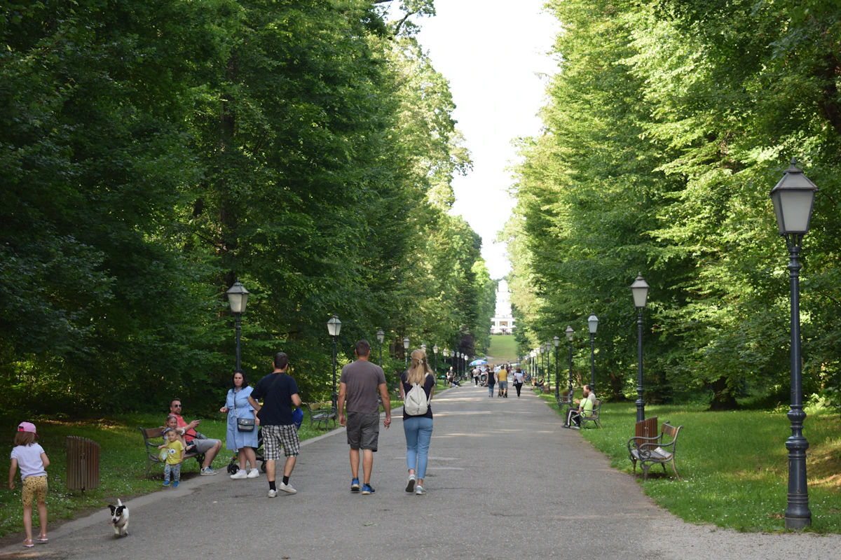 Аллея в парке рядом с комплексом