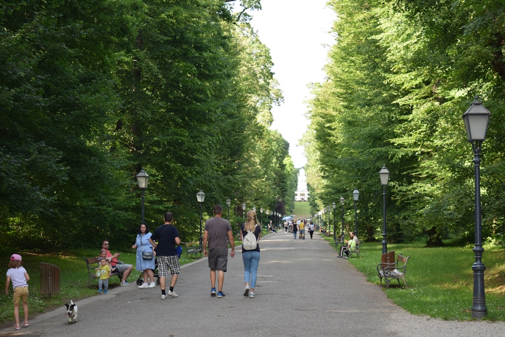 a group of people walking down a tree lined street