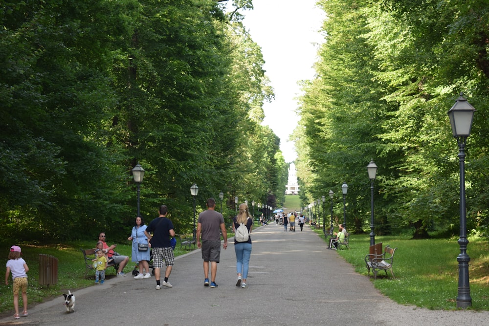 Un groupe de personnes marchant dans une rue bordée d’arbres