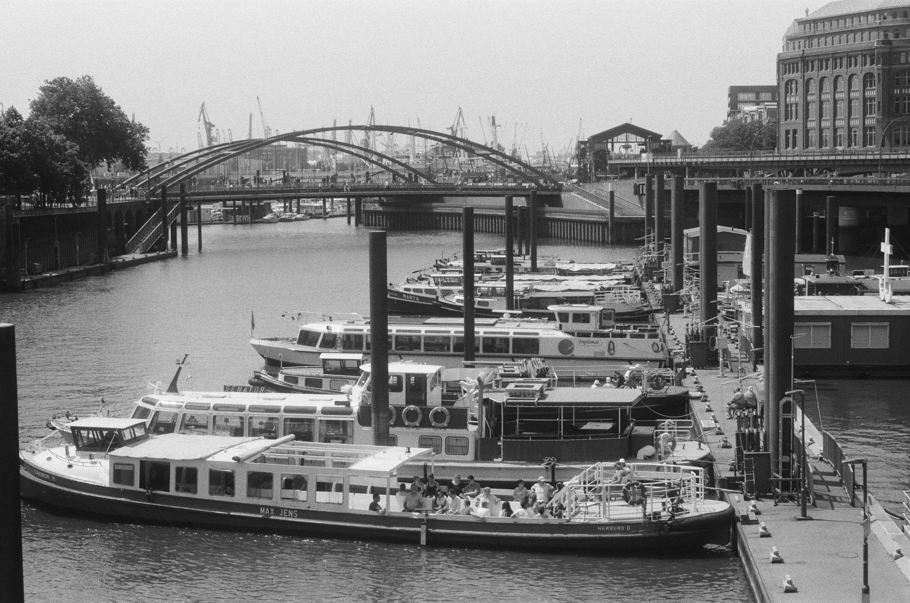 Photo by elinaverheles