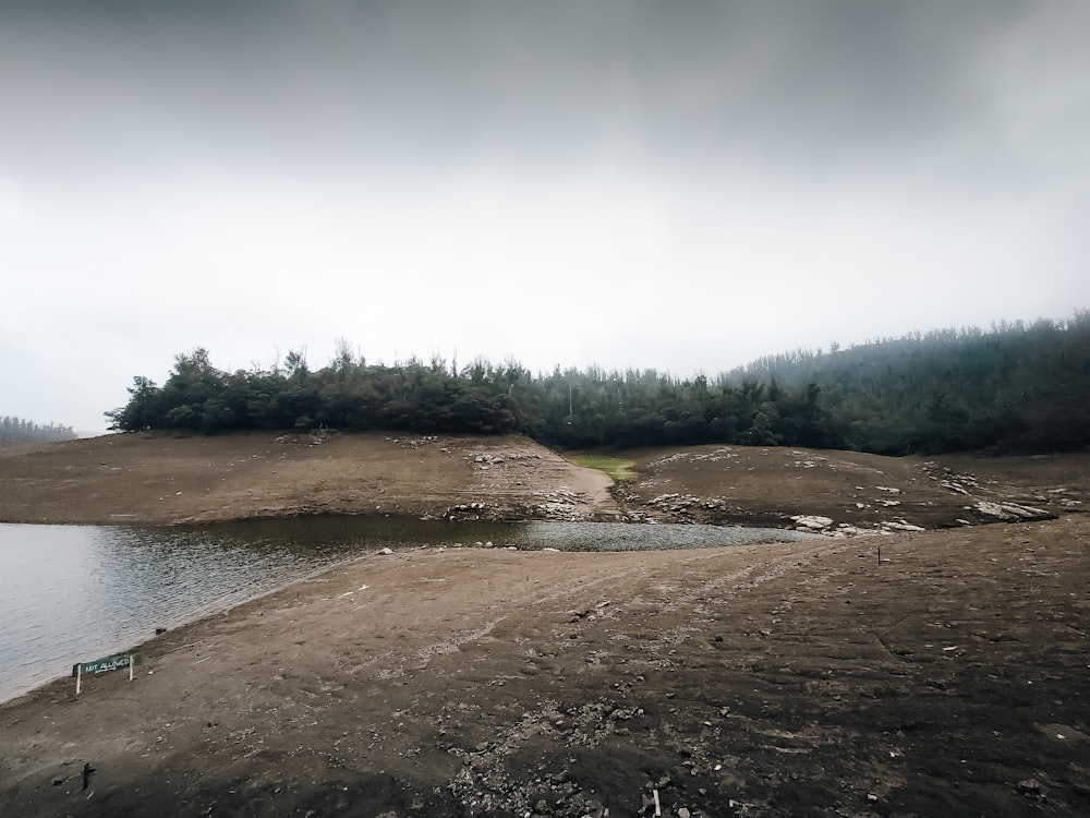 un plan d’eau entouré d’une forêt