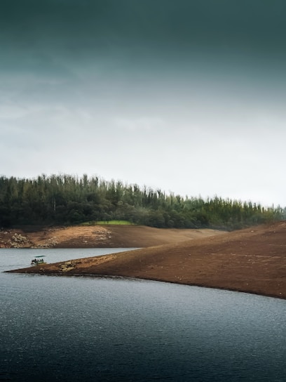A serene landscape featuring earthy tones of brown and green.