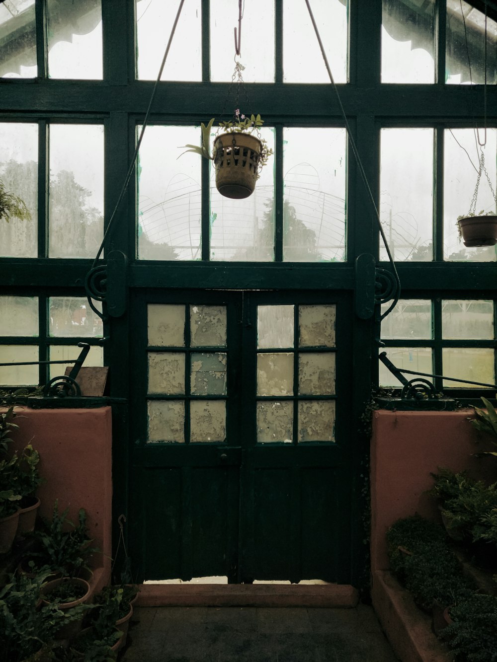 a green door with potted plants hanging from it