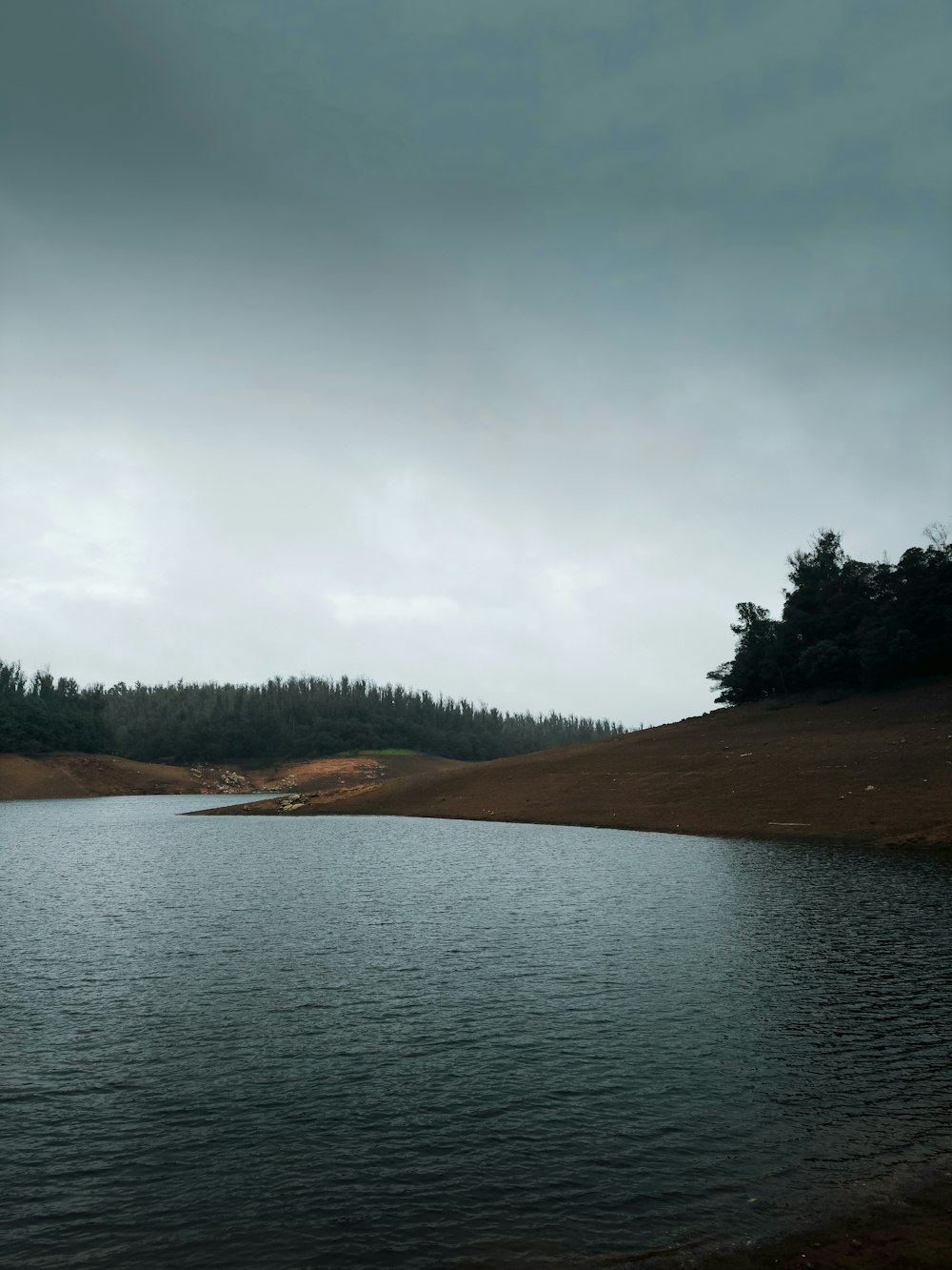 a large body of water surrounded by a forest