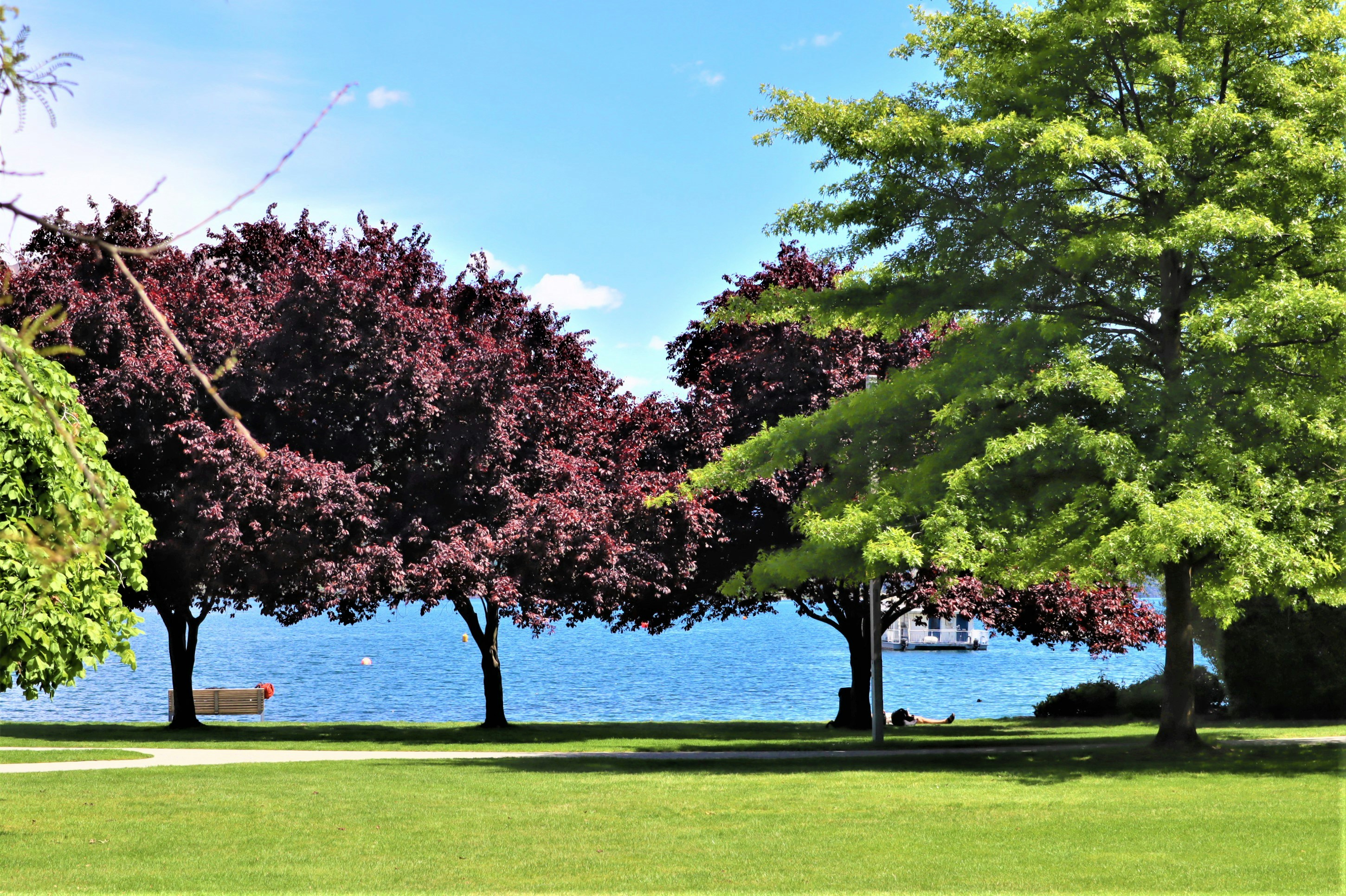 Lakeshore Park