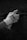 A gloved hand holding a spray paint can against a rough textured surface. The scene appears monochromatic, emphasizing the rugged texture of the wall.