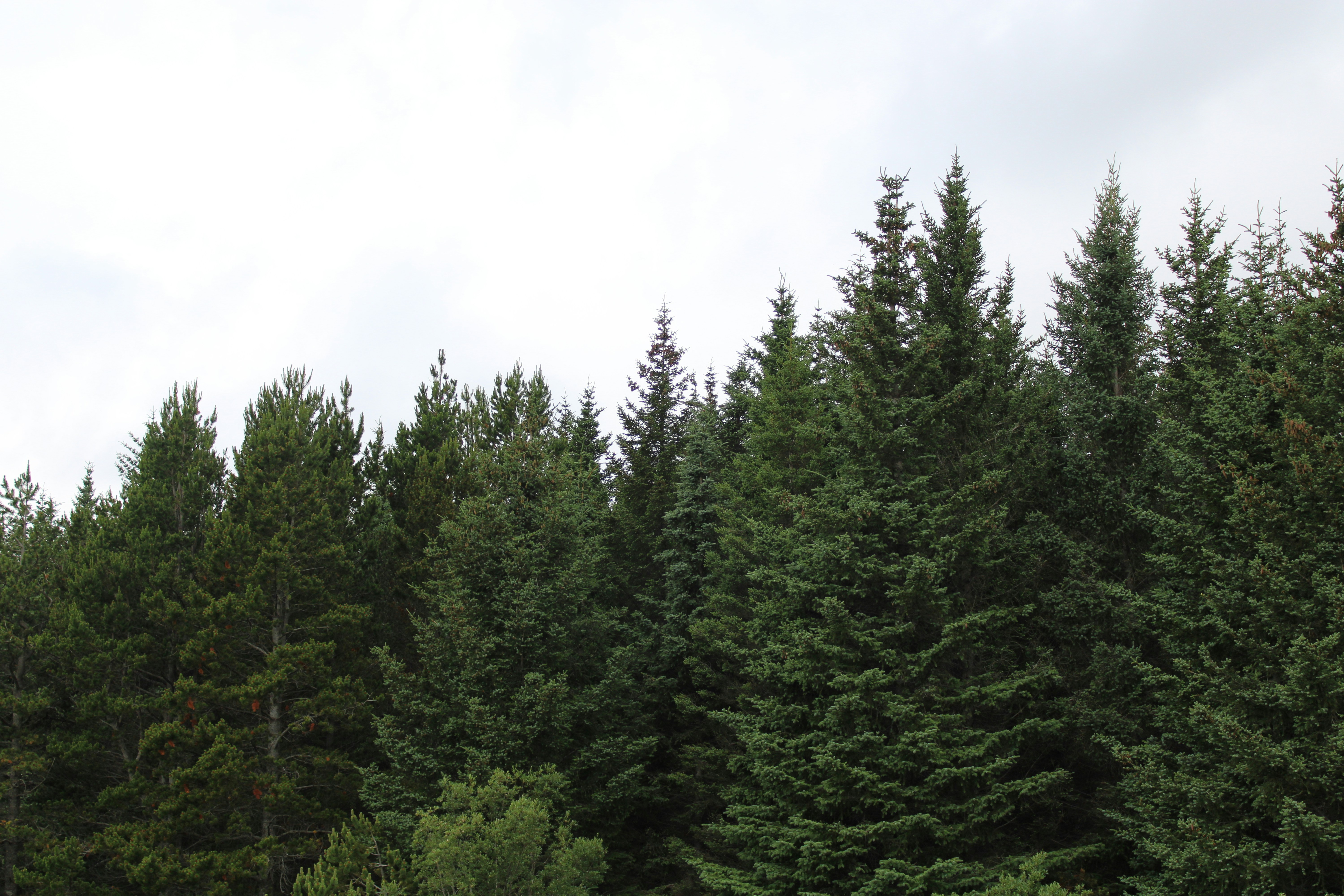 Photo by seandoherty886