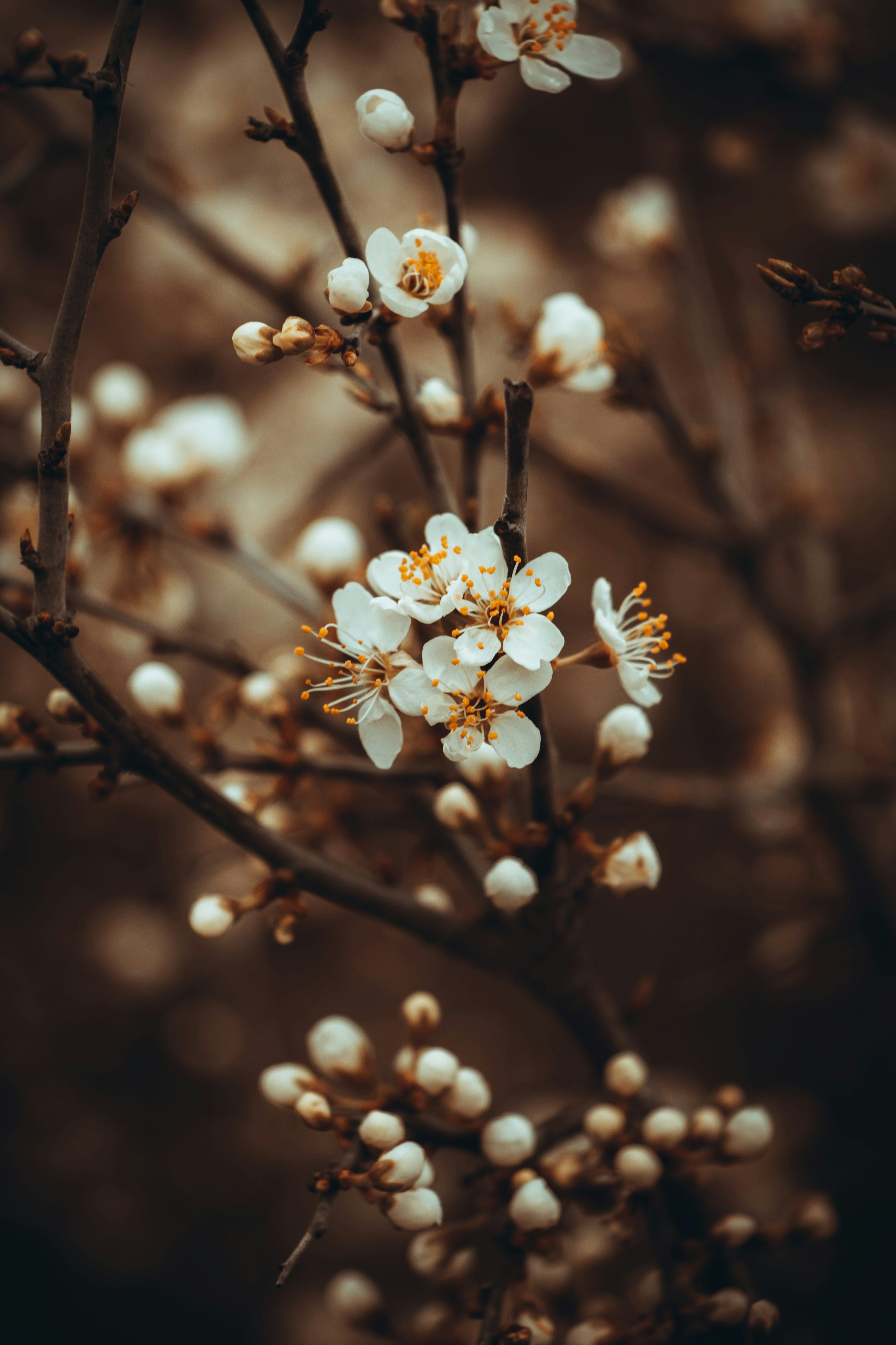 Photo by kellerchewning