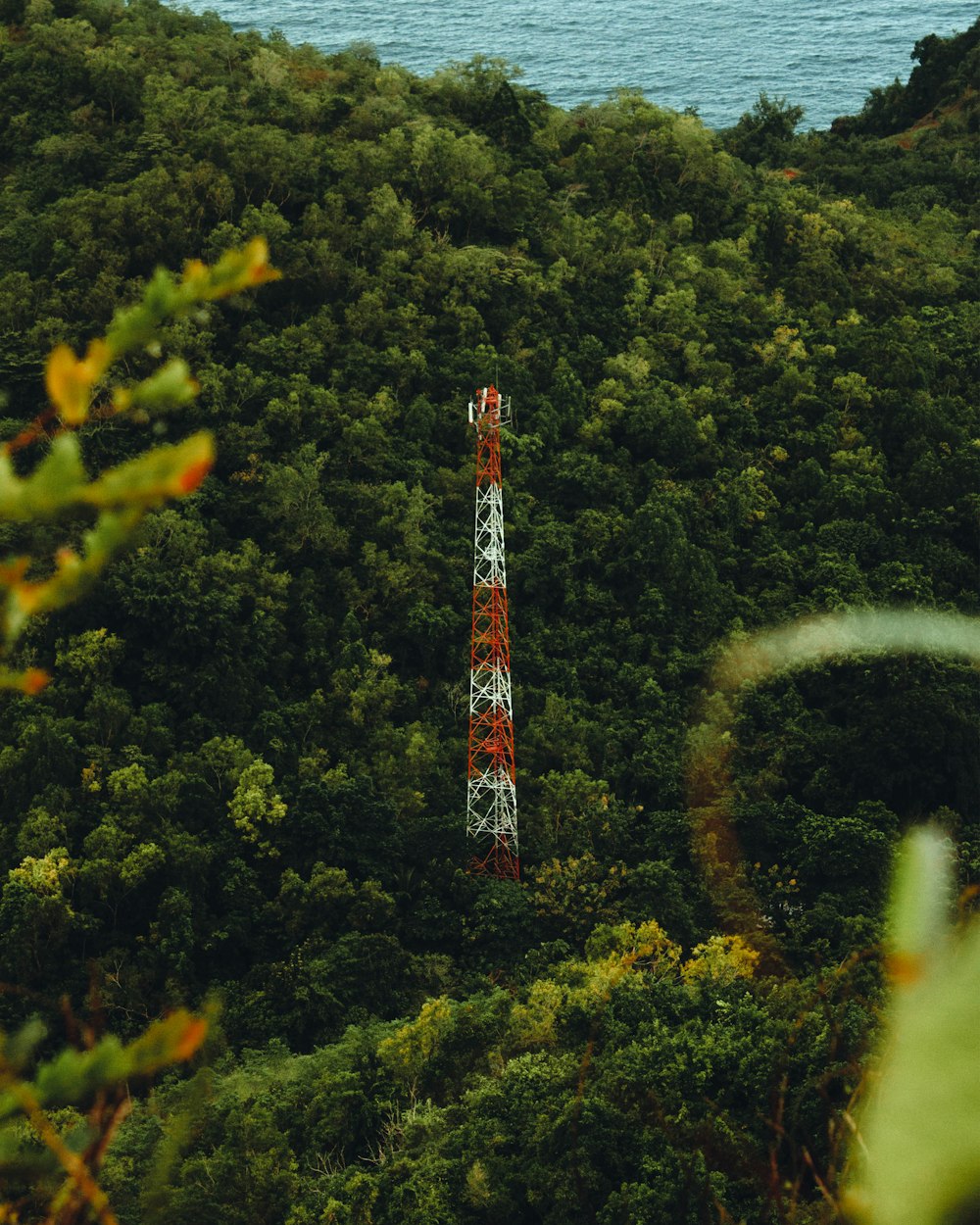 a radio tower in the middle of a forest
