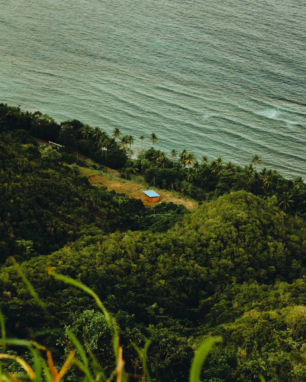 a house on a hill overlooking the ocean
