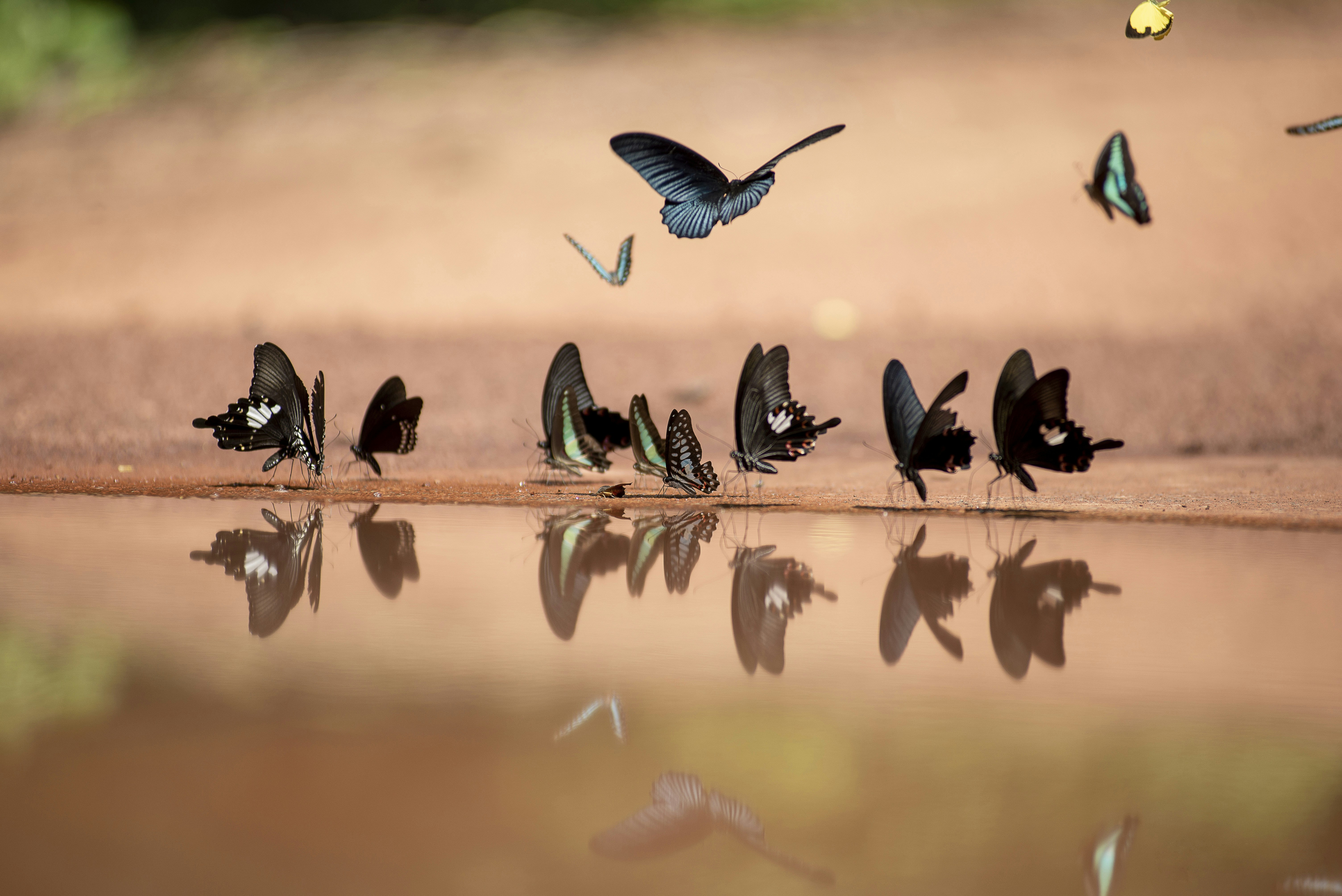 photo-1687958720715-7098825b4b56?ixid=M3