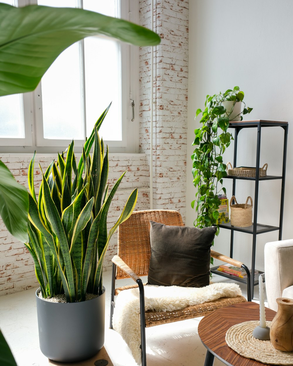 a living room with a chair and a potted plant
