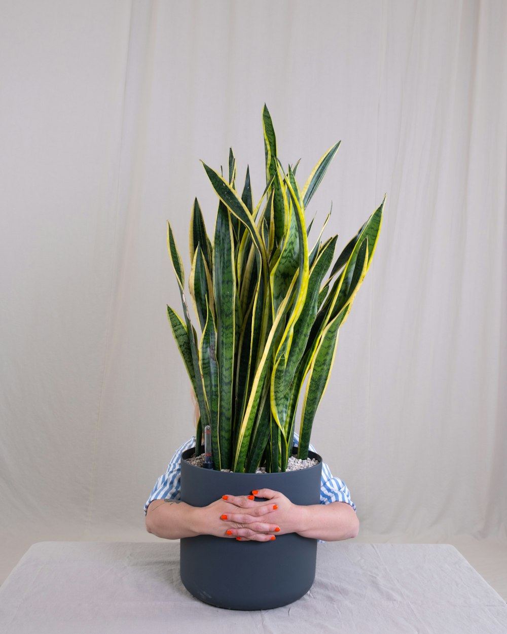 a woman holding a potted plant on top of a table