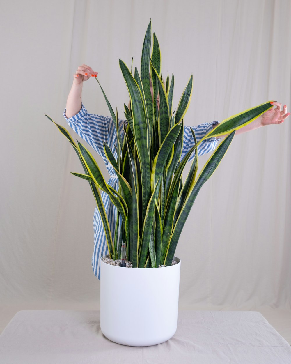 a woman standing behind a potted plant on a table
