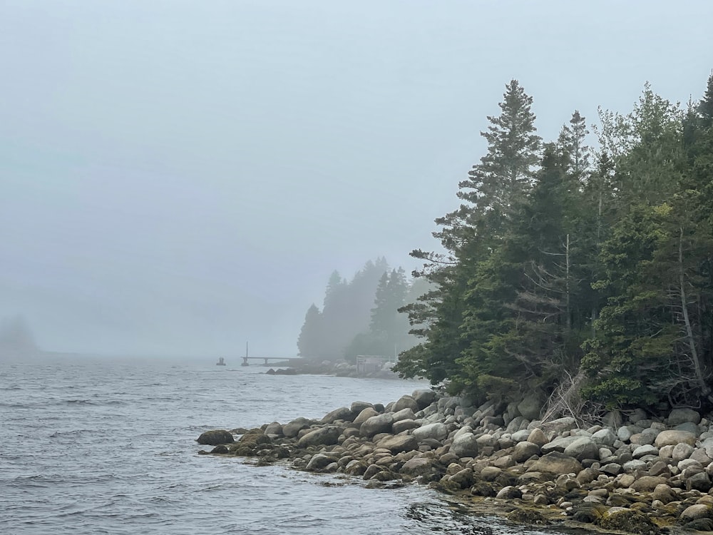 a foggy day on the shore of a body of water