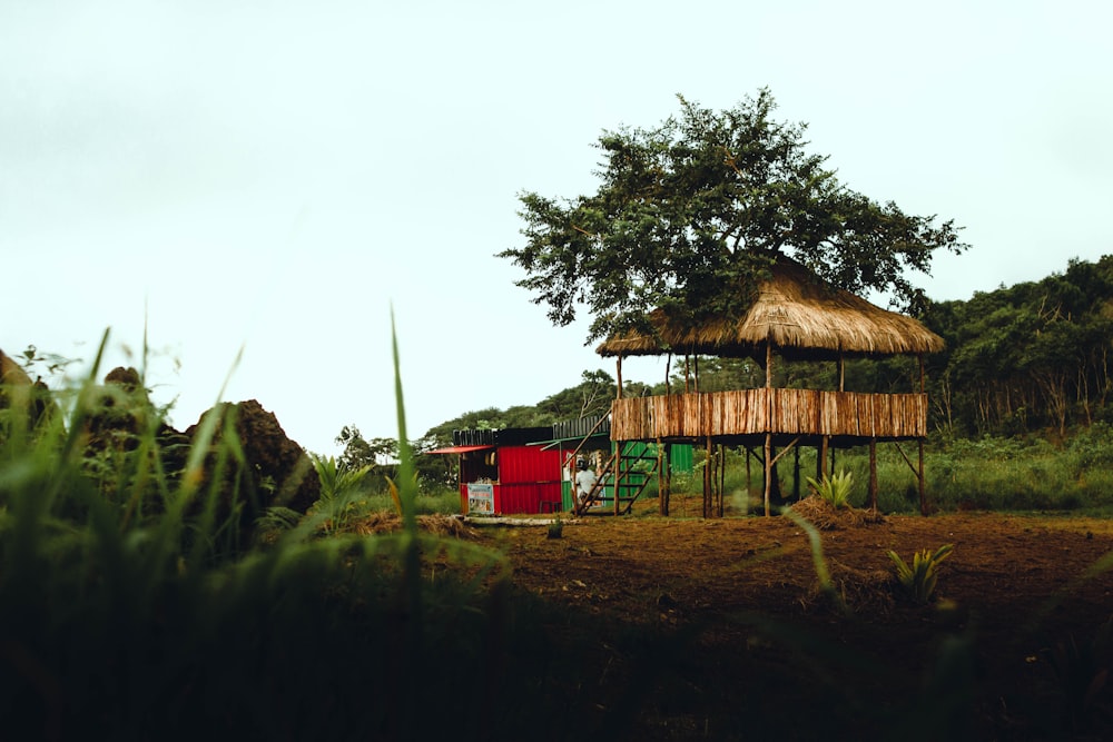 a hut with a thatched roof and a red door