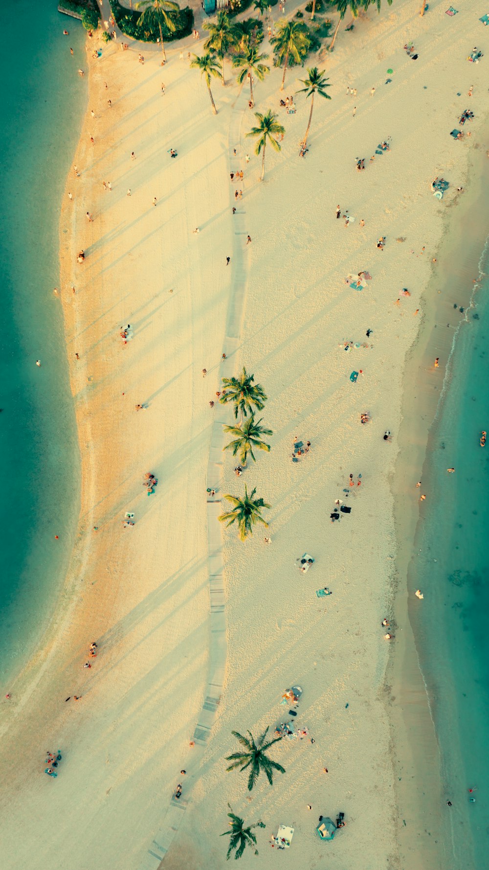 an aerial view of a beach with palm trees