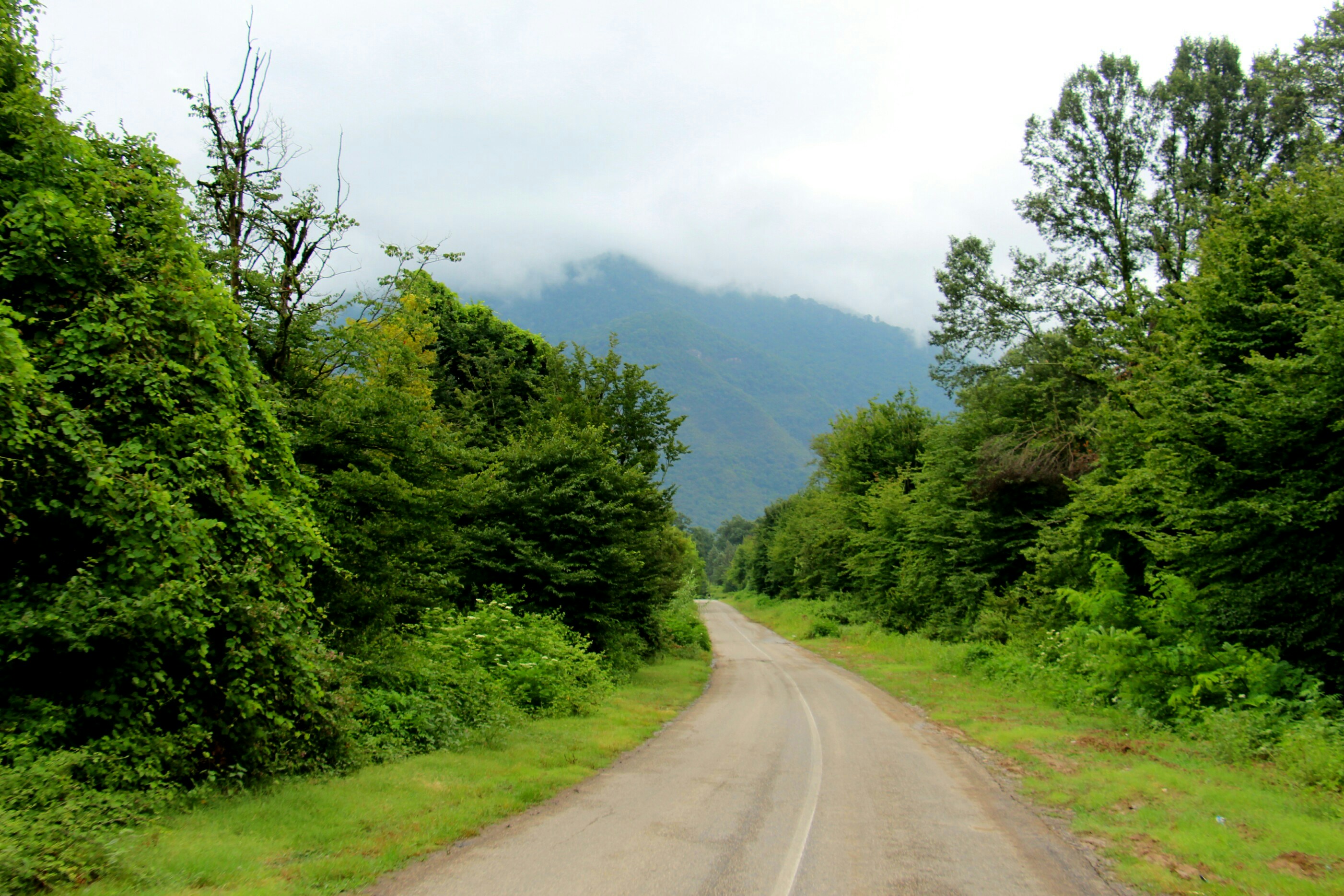 a dirt road surrounded by trees and mountains