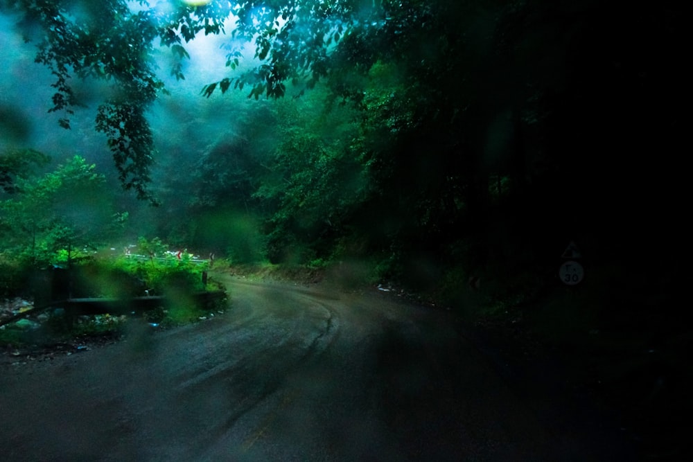 a car driving down a dark road in the woods