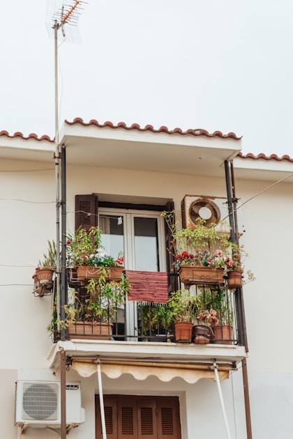 Small fruit trees for balconies: step-by-step visual example