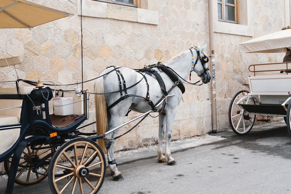 a white horse pulling a carriage down a street