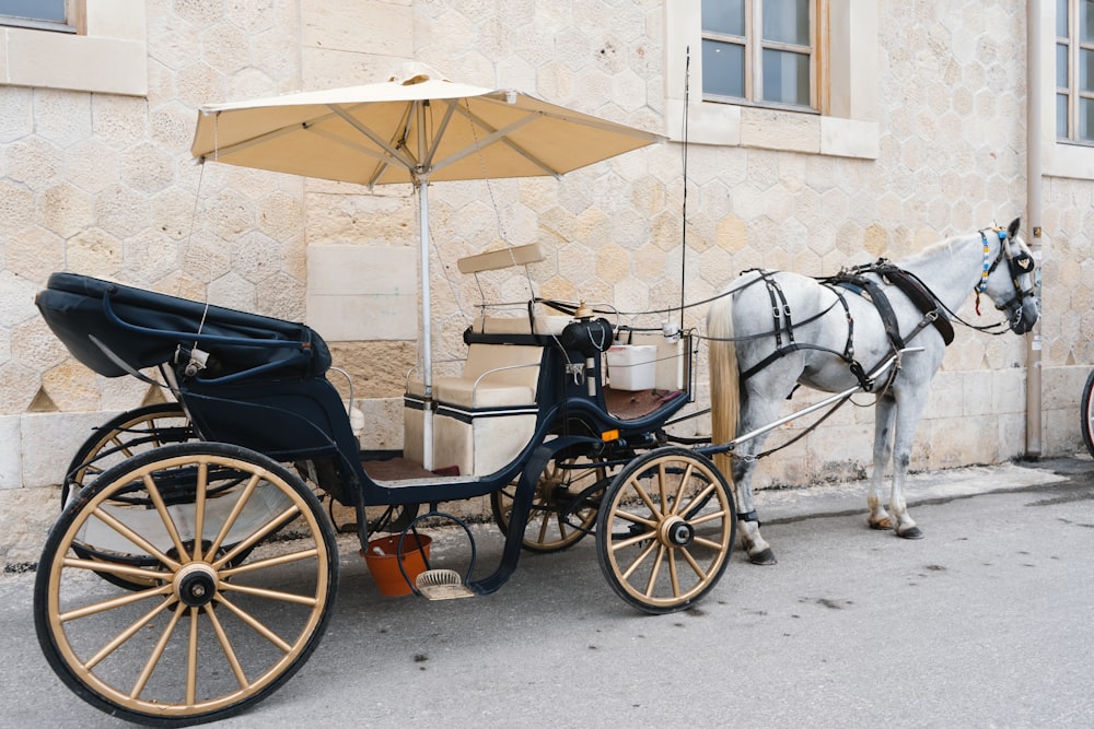 a horse is pulling a carriage with an umbrella