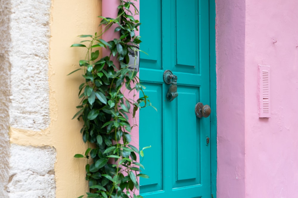 a blue door with a green plant growing on it