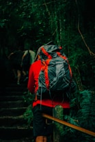 A person wearing a large backpack ascends stone steps surrounded by dense, dark green foliage. The atmosphere is shaded, with sunlight filtering slightly through the leaves overhead. The individual's clothing and the vibrant color of the backpack stand out against the natural backdrop, suggesting a hiking expedition.