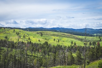 A serene landscape with green hills representing growth and investment.