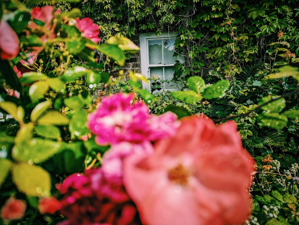 a bunch of flowers that are in front of a building