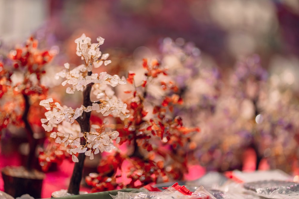 a group of small trees sitting on top of a table