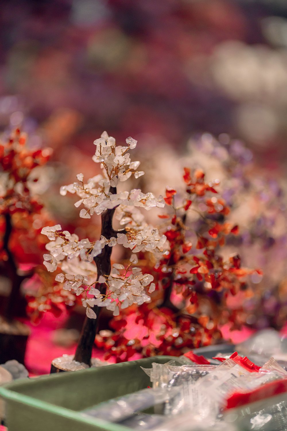 a group of small trees sitting next to each other