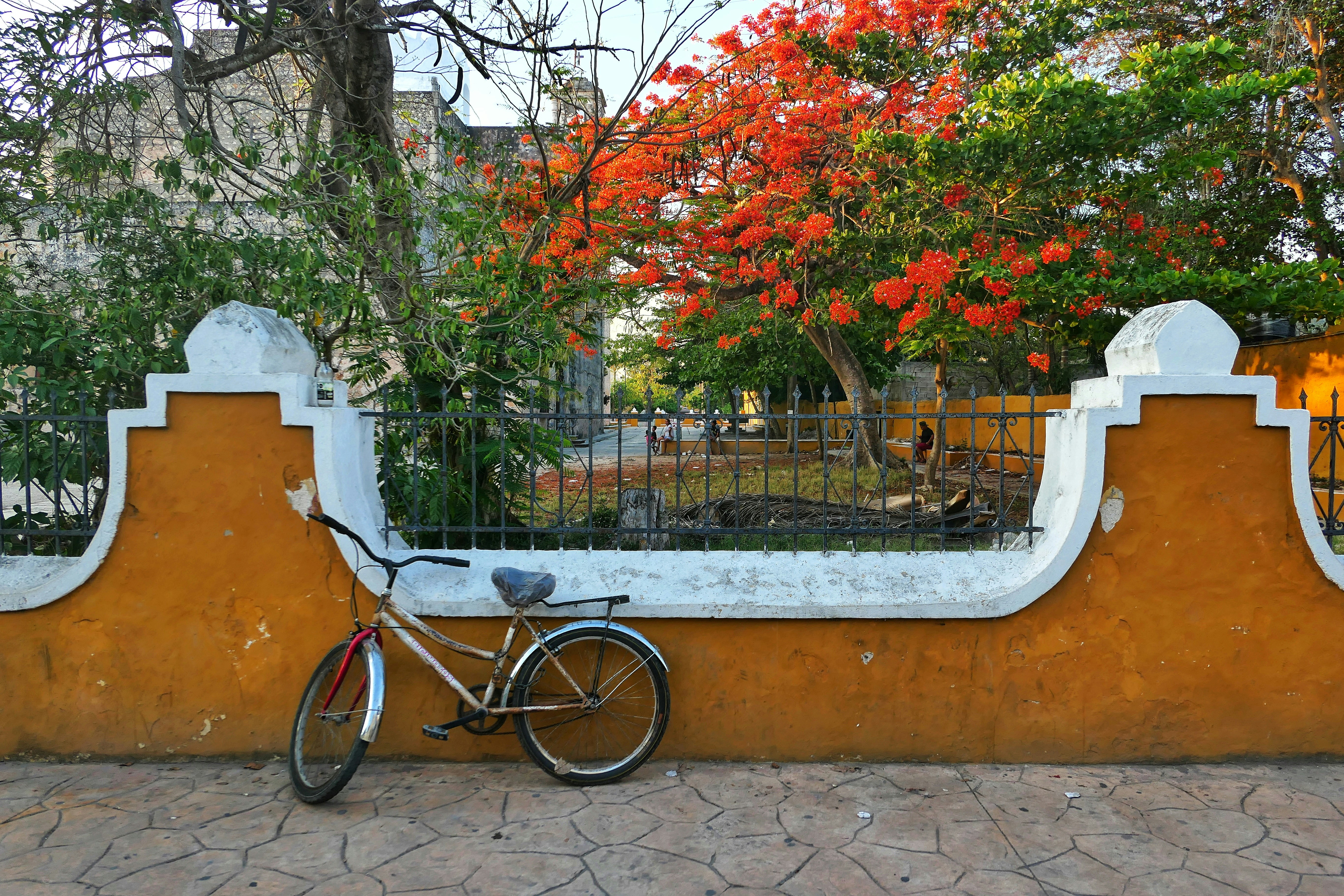 🌿🏨Where to Sleep in Your Next Trip to Yucatan, Mexico? 🇲🇽🌱