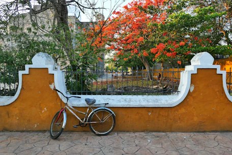 a bike parked against a wall with a gate