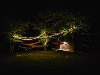 A nighttime outdoor scene featuring several hammocks strung between trees, illuminated by string lights. The area is surrounded by grass and a small wooden structure with a light is visible in the background.