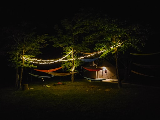 A nighttime outdoor scene featuring several hammocks strung between trees, illuminated by string lights. The area is surrounded by grass and a small wooden structure with a light is visible in the background.