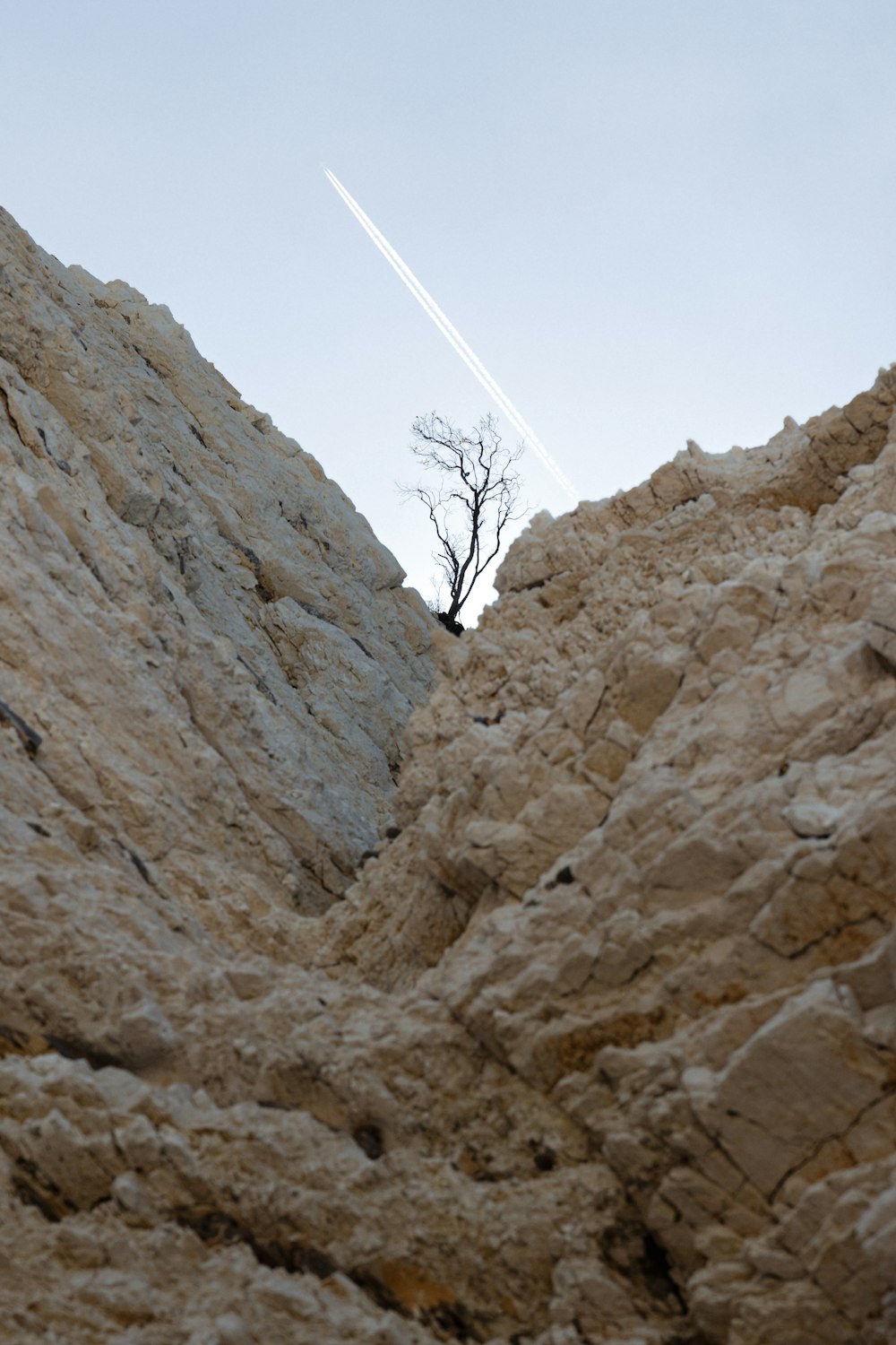 a lone tree in the middle of a rocky area