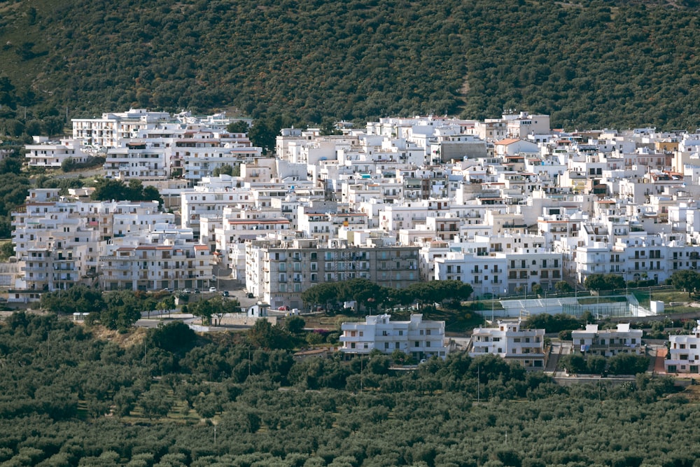 a large group of white buildings on a hillside