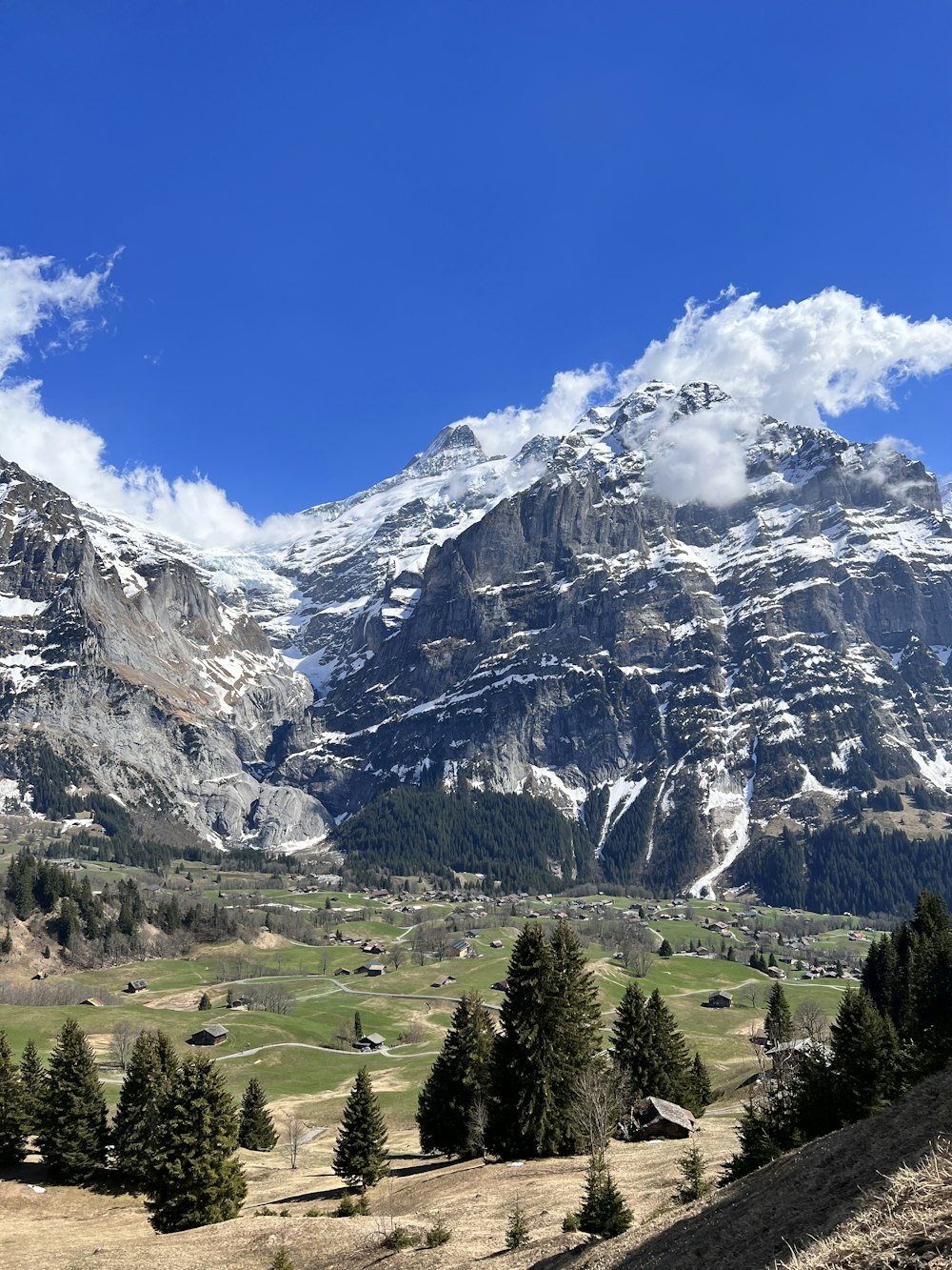 a view of a mountain range with trees in the foreground