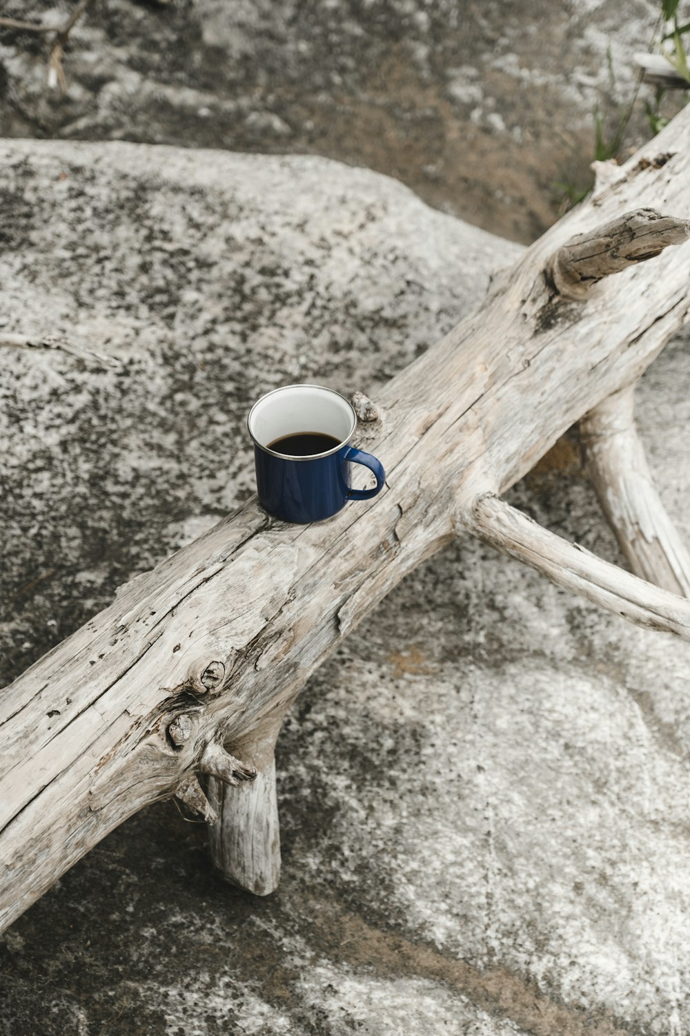 a cup of coffee is sitting on a piece of wood