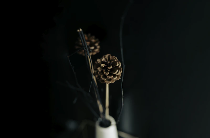 Reed Diffusers