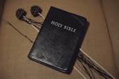 A black-bound Holy Bible is resting on a beige surface with a textured finish. Two pine cones are attached to long sticks lying beside the Bible, adding a rustic element to the setting.