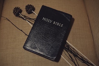 A black-bound Holy Bible is resting on a beige surface with a textured finish. Two pine cones are attached to long sticks lying beside the Bible, adding a rustic element to the setting.