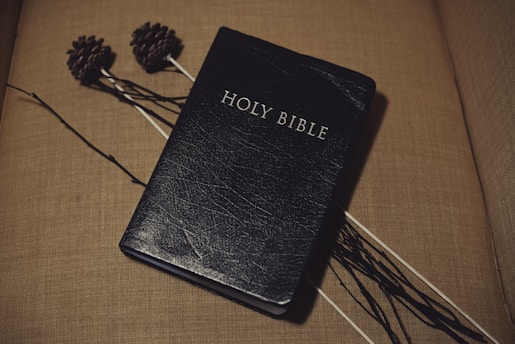 A black-bound Holy Bible is resting on a beige surface with a textured finish. Two pine cones are attached to long sticks lying beside the Bible, adding a rustic element to the setting.