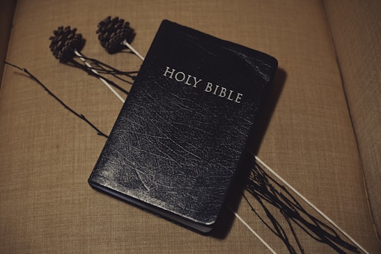 A black-bound Holy Bible is resting on a beige surface with a textured finish. Two pine cones are attached to long sticks lying beside the Bible, adding a rustic element to the setting.