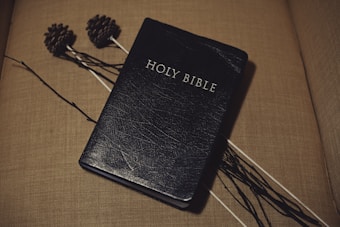 A black-bound Holy Bible is resting on a beige surface with a textured finish. Two pine cones are attached to long sticks lying beside the Bible, adding a rustic element to the setting.