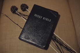 A black-bound Holy Bible is resting on a beige surface with a textured finish. Two pine cones are attached to long sticks lying beside the Bible, adding a rustic element to the setting.