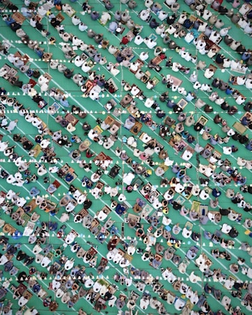 a large group of people standing around a green field