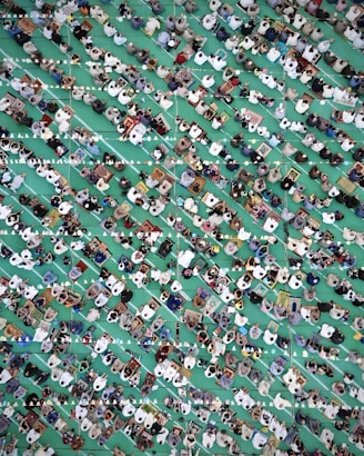 a large group of people standing around a green field